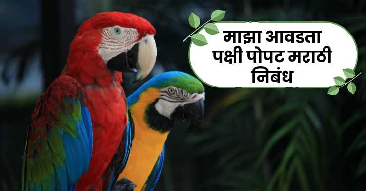 My favorite bird Parrot Marathi essay